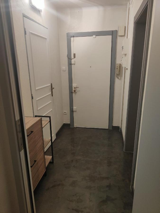 Tres Grand Appartement De 76M2 A 斯特拉斯堡 外观 照片