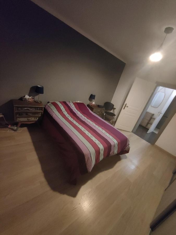 Tres Grand Appartement De 76M2 A 斯特拉斯堡 外观 照片