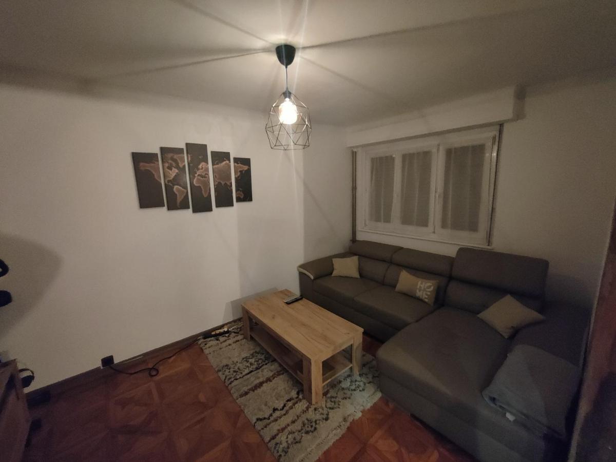 Tres Grand Appartement De 76M2 A 斯特拉斯堡 外观 照片